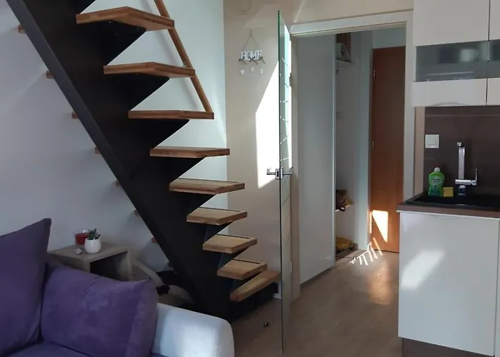 Apartma Misha דירה *